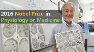A STEP TOWARDS PEACE The Nobel Prize in Physiology or Medicine 2016-10-3 Yoshinori Ohsumi   
