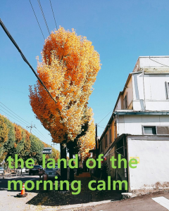 A STEP TOWARDS PEACE Today is College Scholastic Ability Test day : the land of the morning calm   