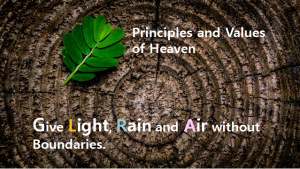 A STEP TOWARDS PEACE Human rights : Let me think for a moment Universal Declaration of Human Rights United Nations General Assembly United Nations UN Charter UDHR Pope Francis milestone human rights false hope All human beings   