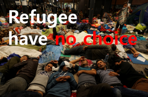 A STEP TOWARDS PEACE African Refugee in a Suitcase "Refugee have no choice" refugee Jimmy Carter Jawaharlal Nehru Gabon first aid Choice Ceuta African refugee   
