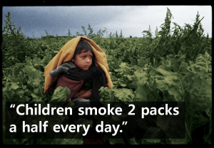 A STEP TOWARDS PEACE 168 Million Child Workers : "They're Eating my Flesh and Blood." Tobacco farm Palm oil farm Isadora Duncan ILO Dietrich Bonhoeffer Cocoa farm childhood Child workers   