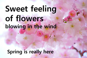 A STEP TOWARDS PEACE Alas! and Did my Saviour Bleed : Spring Is Really Here 웬말인가 날 위하여 Tis all- that- I can do sweet feeling Spring music CHRISTINA ROSSETTI April Alas! and Did my Saviour Bleed   