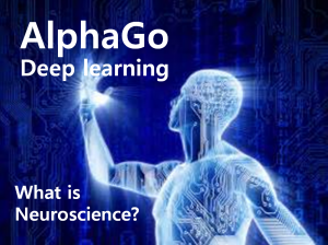 A STEP TOWARDS PEACE "Bugs in the Brain" Neuroscience for public knowledge soul Neuroscience mind Deep learning AlphaGo AI   