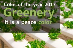 A STEP TOWARDS PEACE 'Greenery Peace Color' : 2017 Color Trend Second wind Revitalize Peace Pantone new beginnings Leatrice Eiseman Greenery peace color Greenery Gabriel Coco Chanel Color of the year 2017   