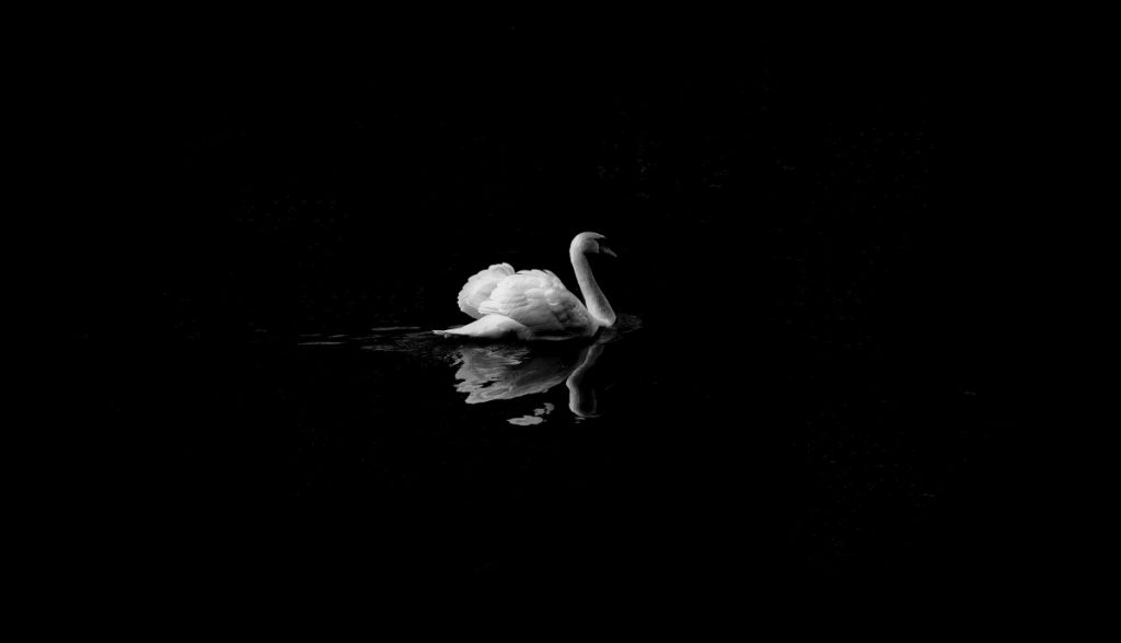 A STEP TOWARDS PEACE quote mixed feelings Letters to Me Lethargic depression COVID-19 coronavirus comforting A STEP TOWARDS PEACE Letters to Me #13 : Lethargic quote mixed feelings Letters to Me Lethargic depression COVID-19 coronavirus comforting